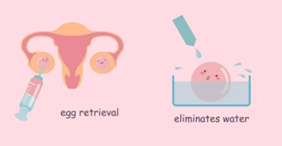 代怀助孕肝素治疗,需要打多久? 代怀助孕肝素治疗,需要打多久?