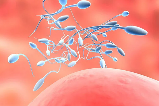 代生宝宝手脚冰凉,原因、影响与应对策略 代生宝宝手脚冰凉,原因、影响与应对策略