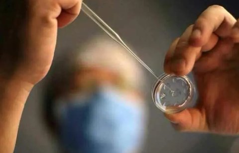 代怀助孕肚子疼,即将迎来新生命的降临 代怀助孕肚子疼,即将迎来新生命的降临